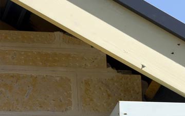 soffit repair Elphinstone